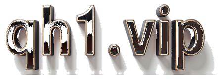 qh01.vip logo